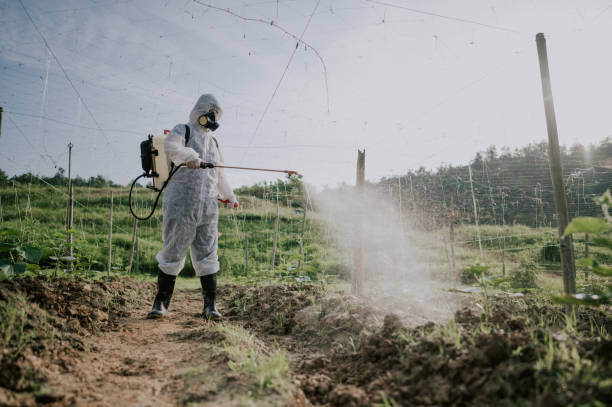 Best Best Pest Control Companies  in Lemmon, SD