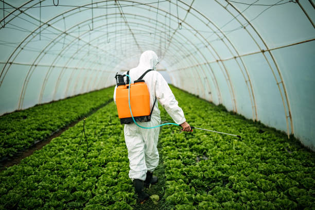 Best Best Pest Control Companies  in Lemmon, SD