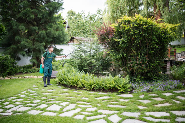 Best Pest Inspection Near Me  in Lemmon, SD