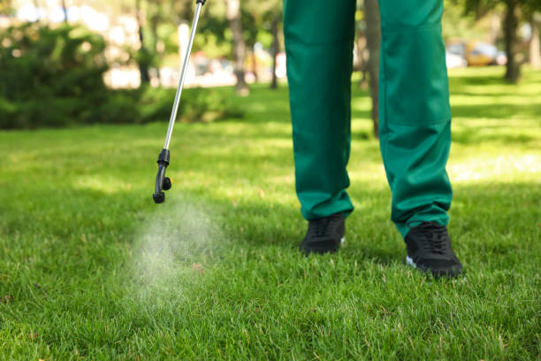 Best Cockroach Control Services  in Lemmon, SD