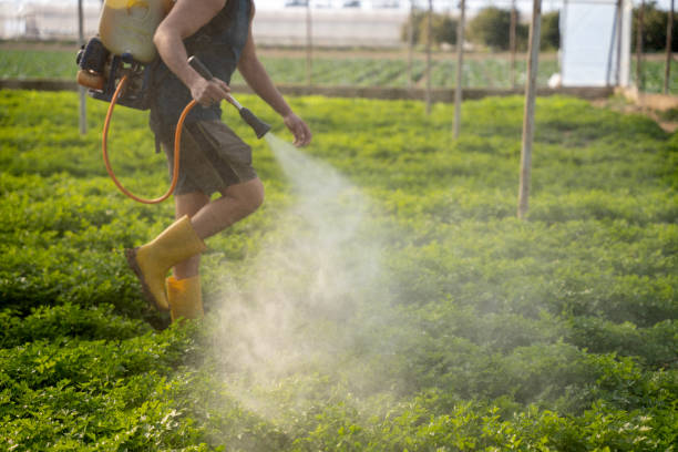 Best Best Pest Control Near Me  in Lemmon, SD