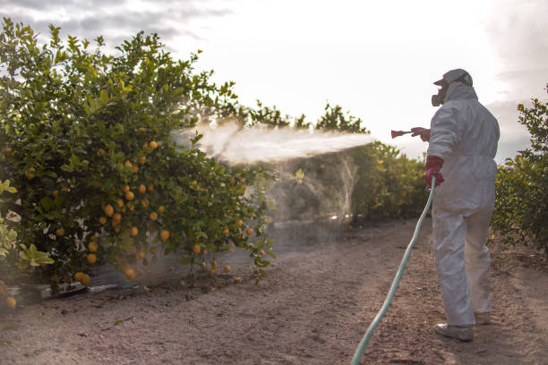 Lemmon, SD Pest Control Company