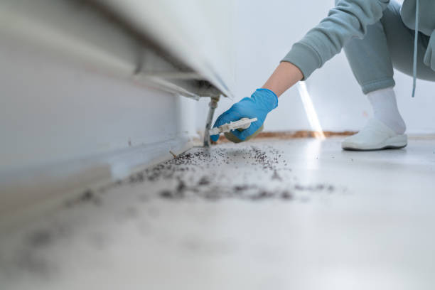 Pest Control for Restaurants in Lemmon, SD
