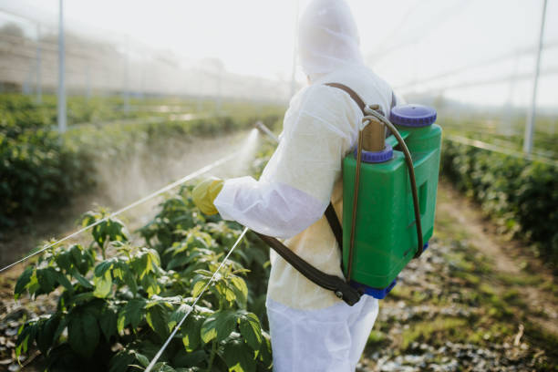 Best Affordable Pest Control Services  in Lemmon, SD